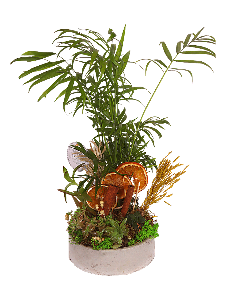 Botanical Harmony