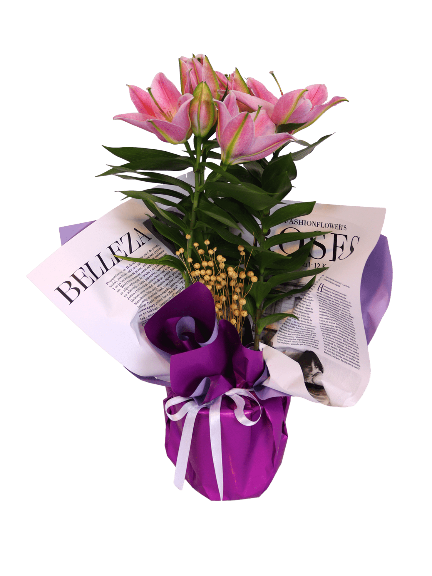 Elegant Flowering Lily