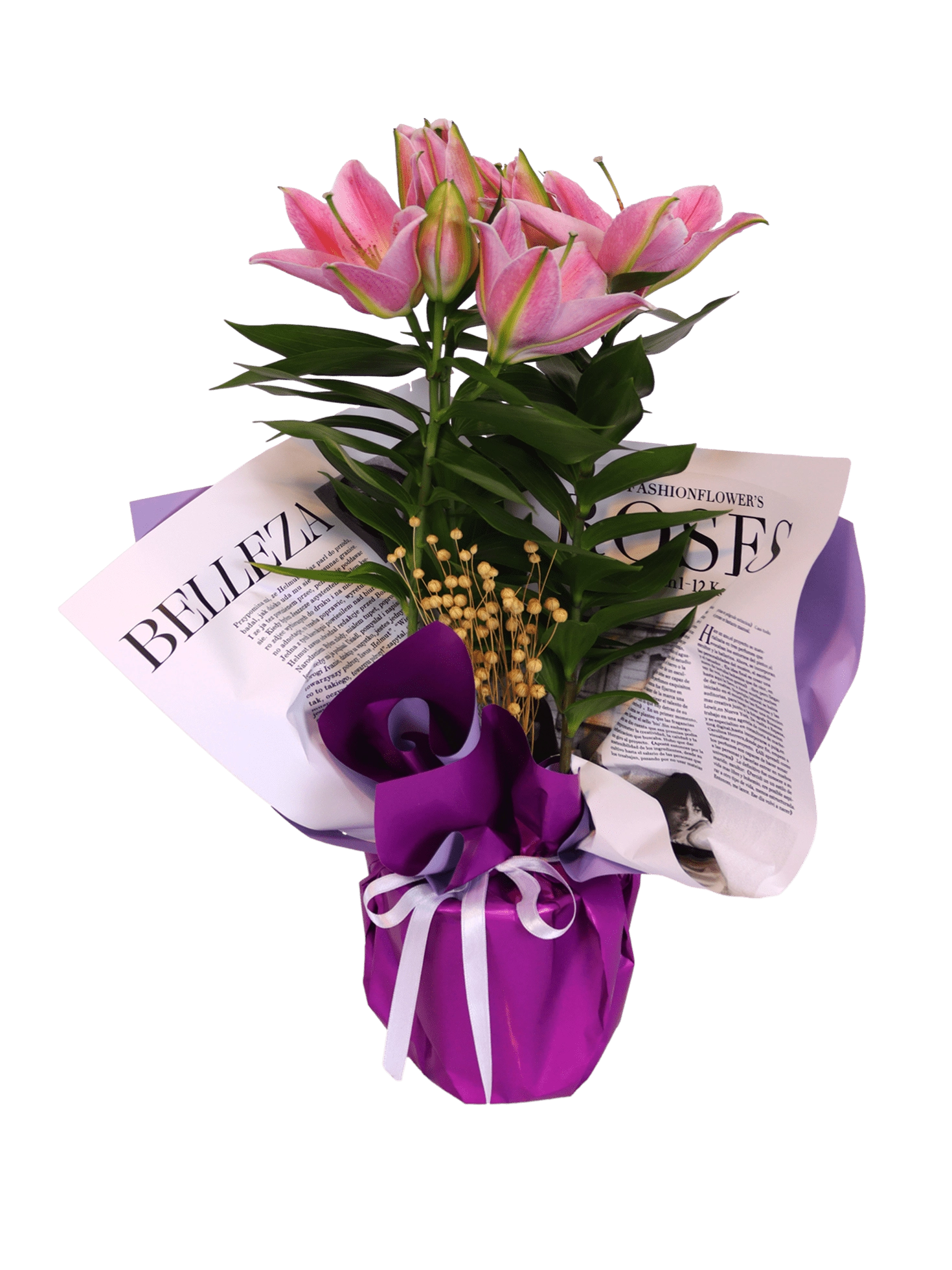 Elegant Flowering Lily