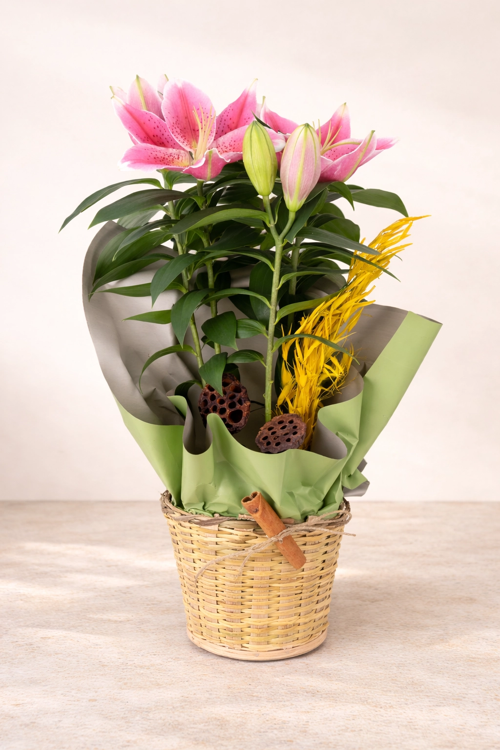 Elegant Flowering Lily