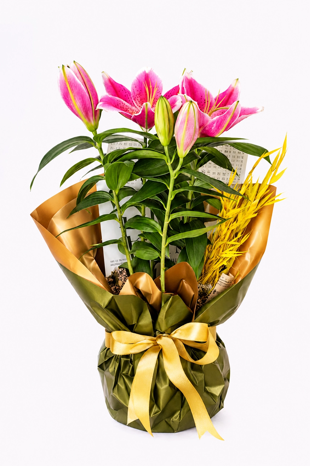 Golden Lily Bloom
