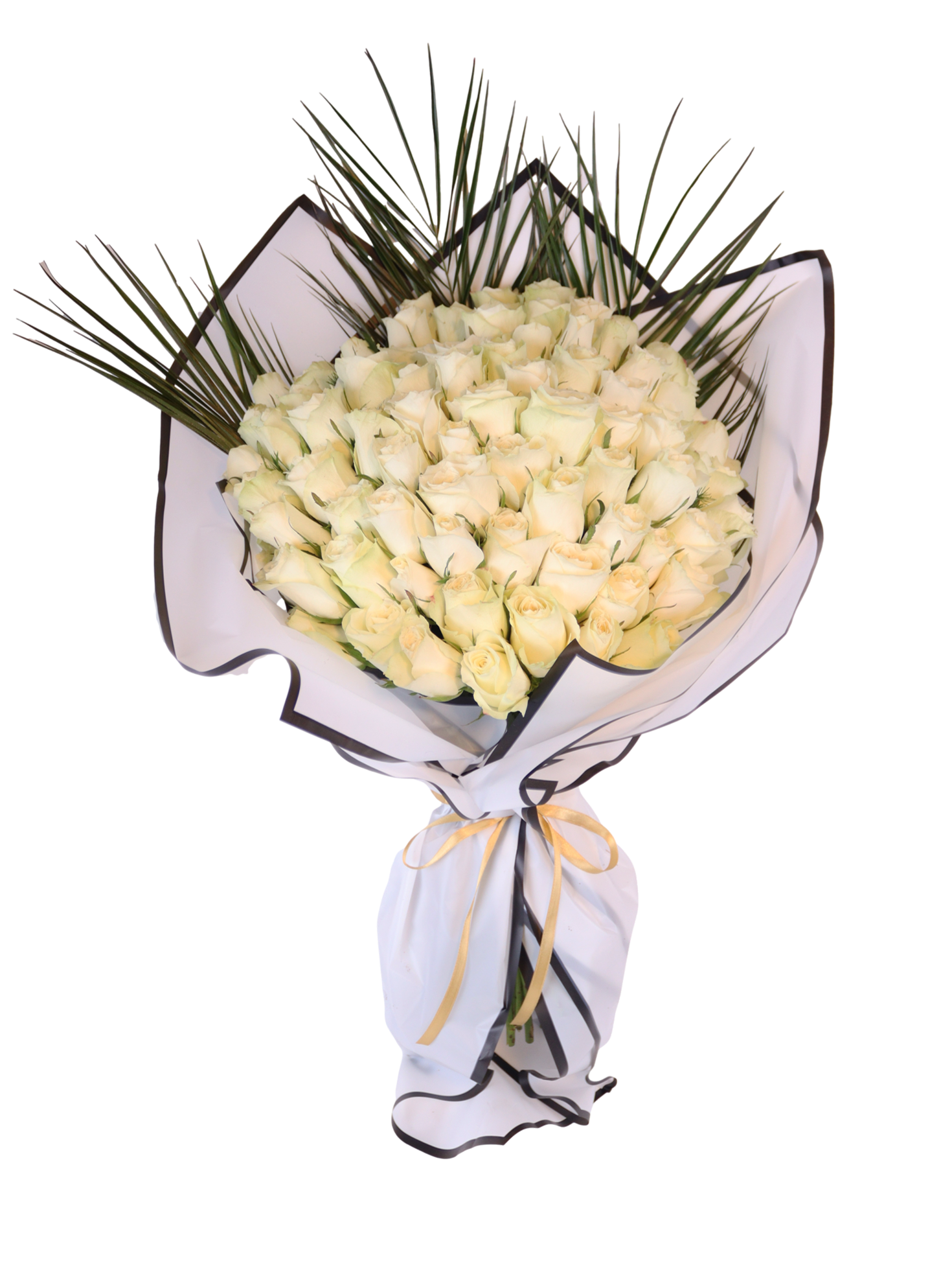 Ice Princess White Rose