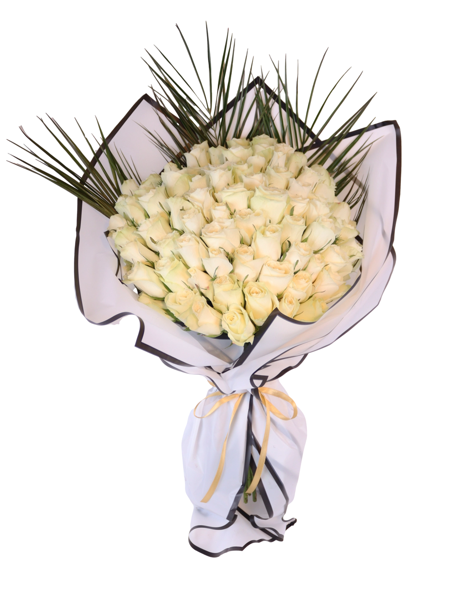 Ice Princess White Rose