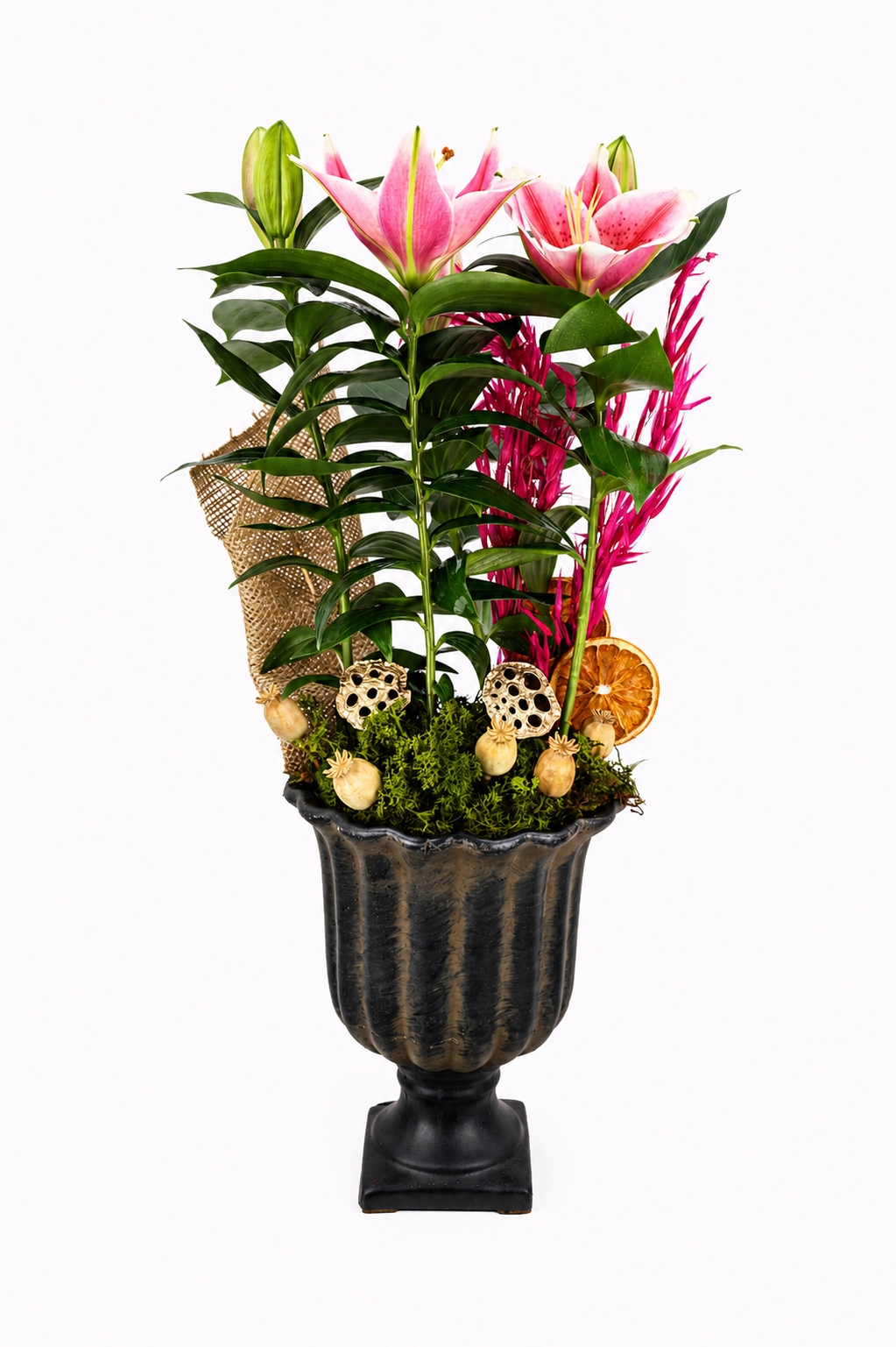 Lily Deluxe