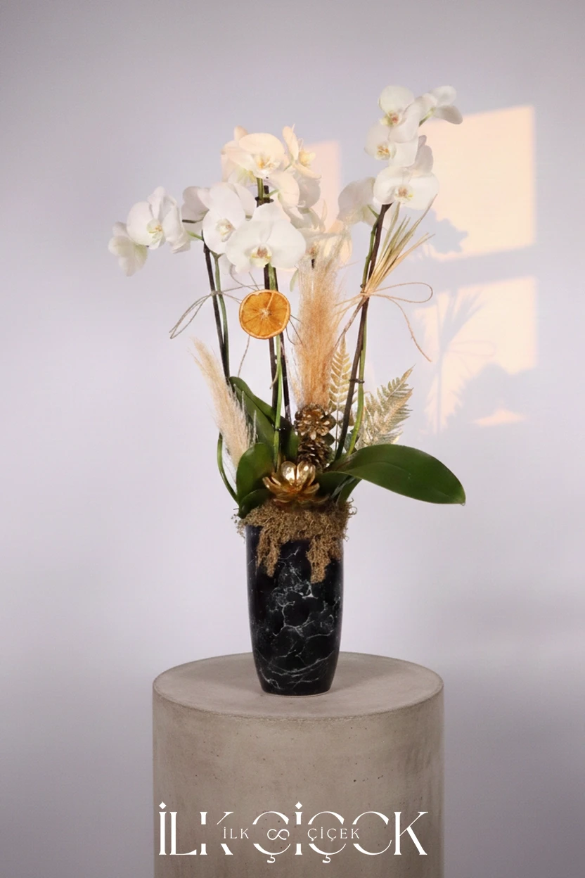 Luxe Edition – Noir Orchidée