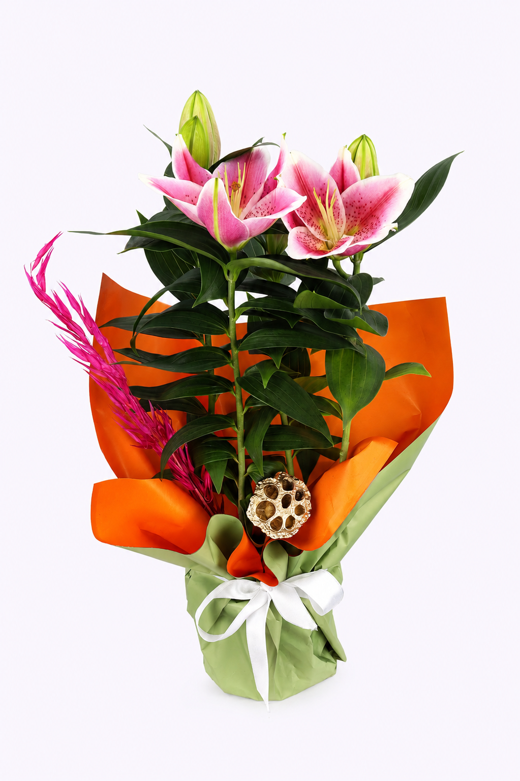 Maison Bloom Lily