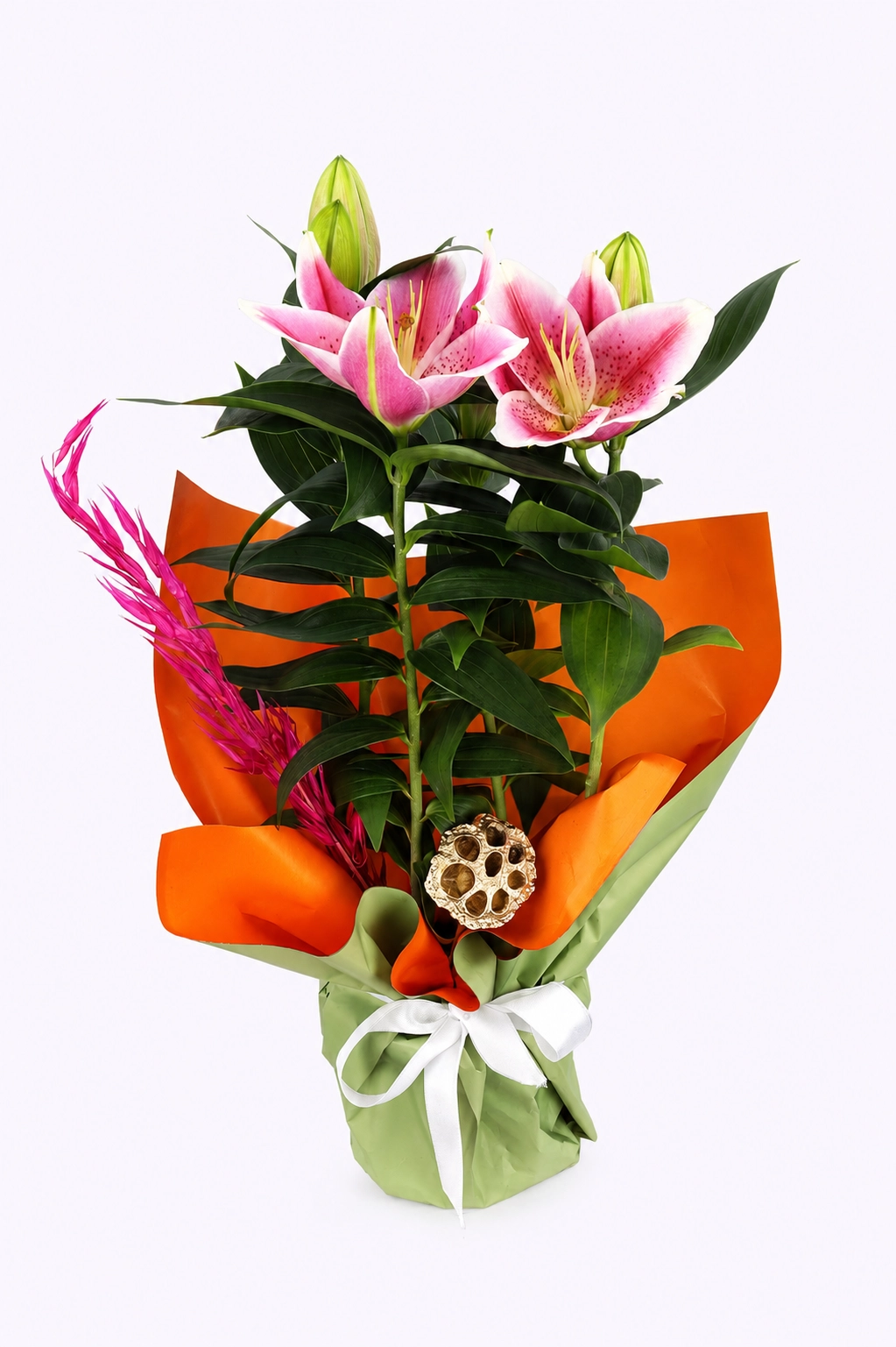 Maison Bloom Lily