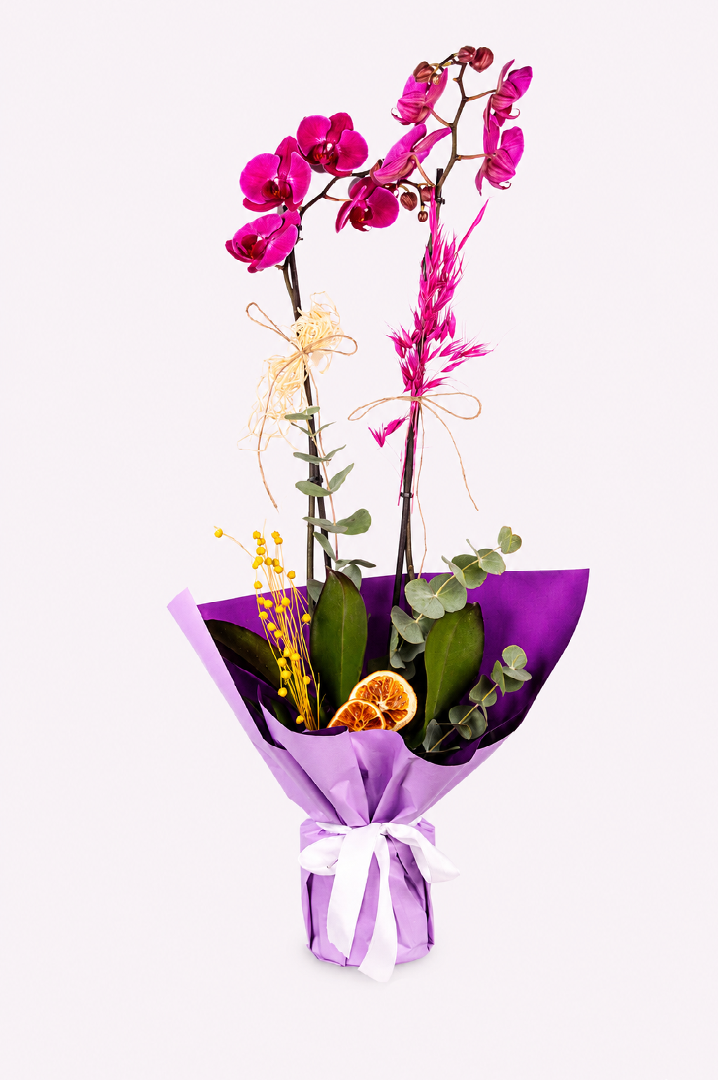 Pink Élite Orchid