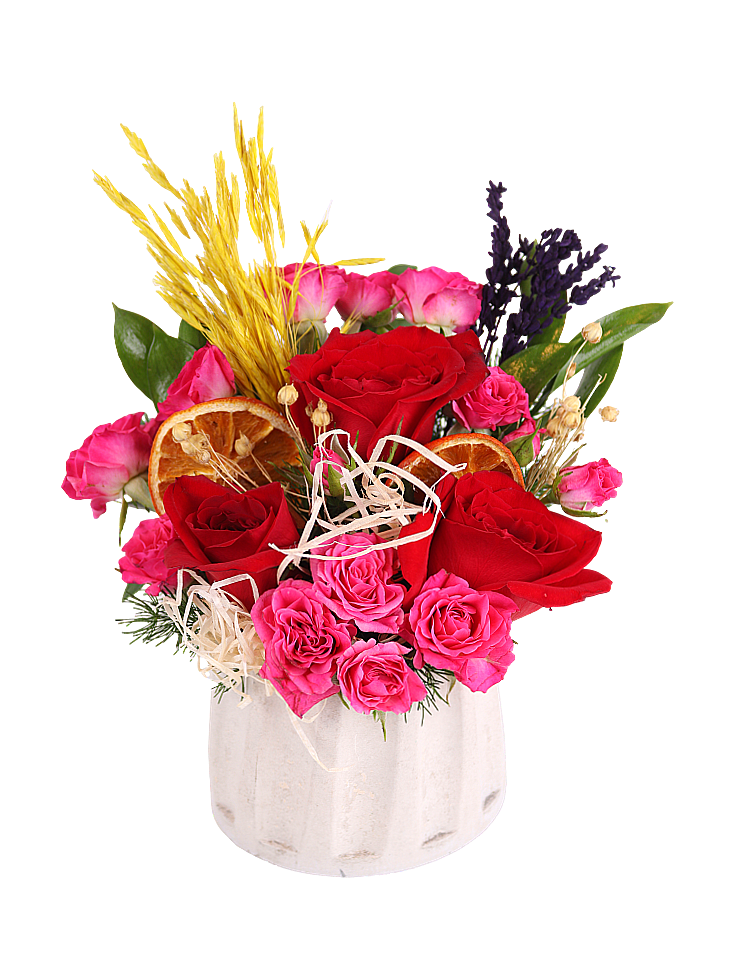 Radiant Rose Harmony