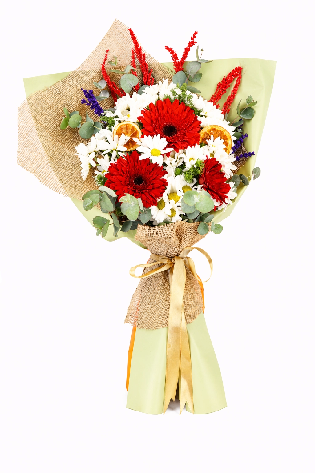 Scarlet Daisy - Papatya & Gerbera