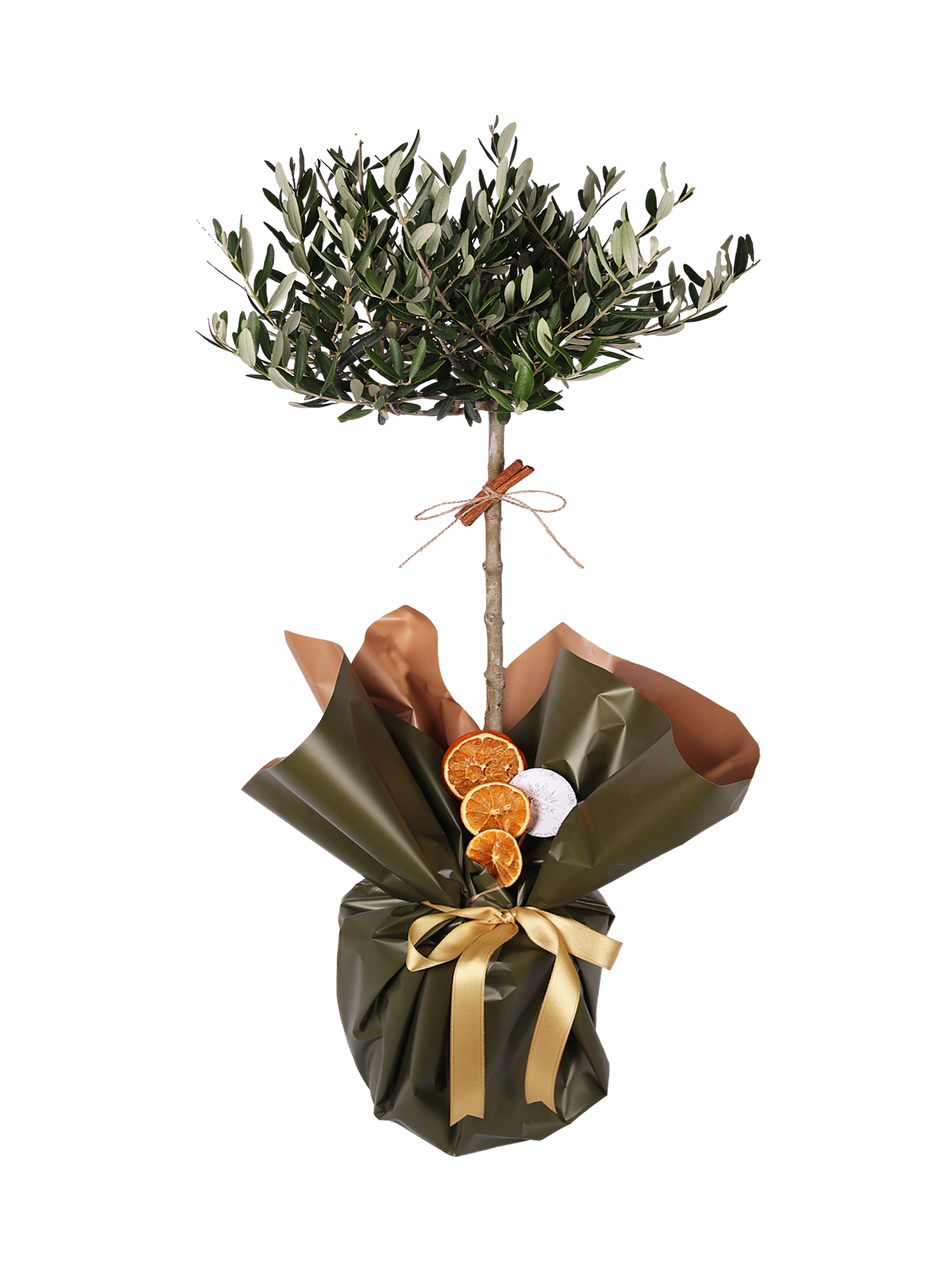 The Mediterranean Sentinel