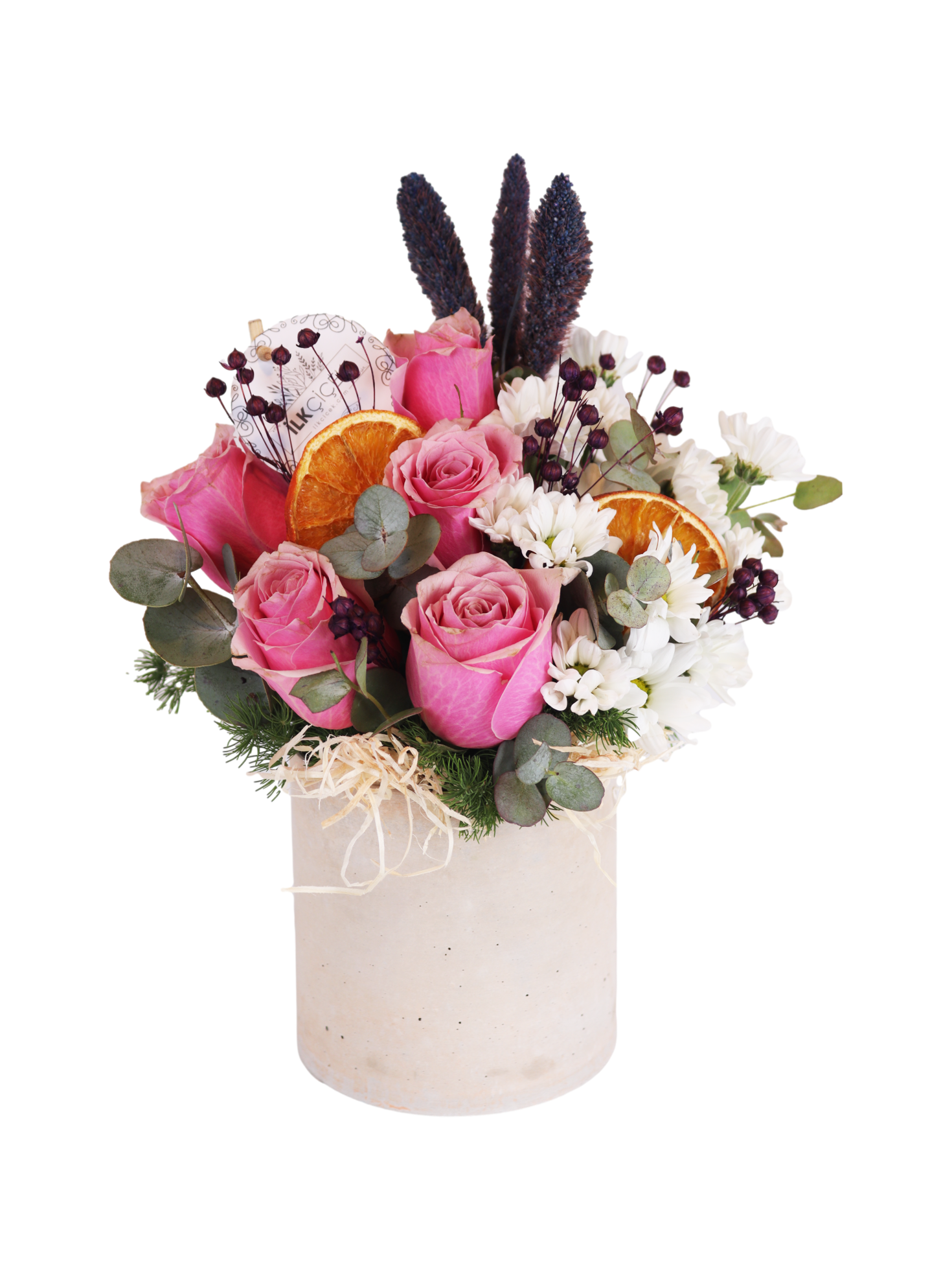 The Winter Rose Garden