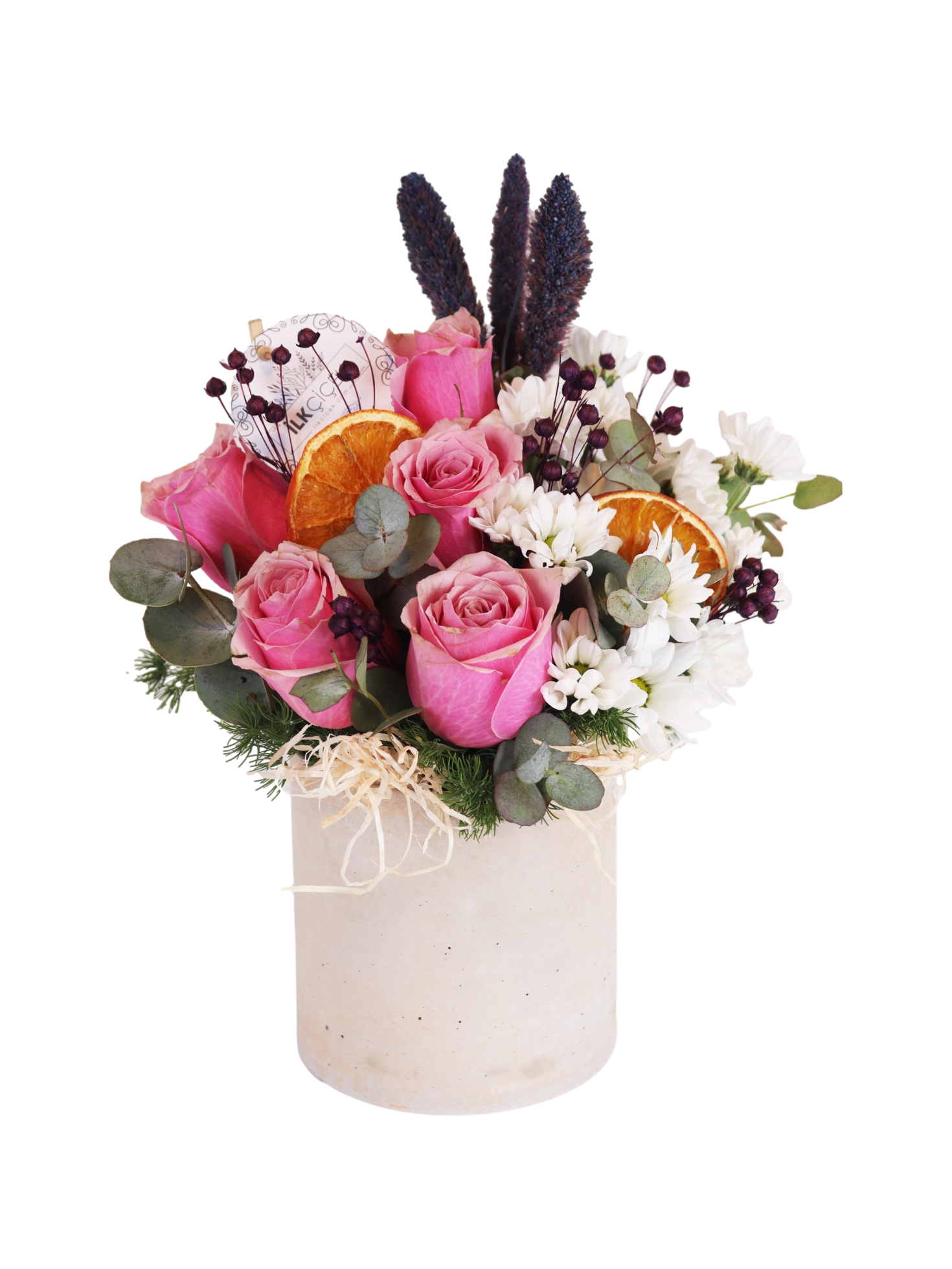 The Winter Rose Garden