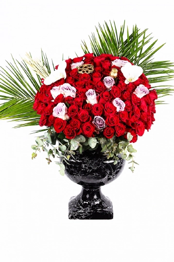 Absolute Splendo