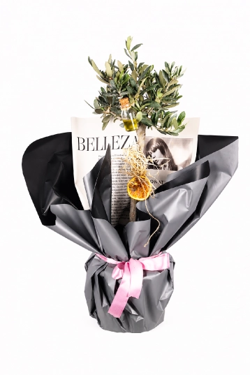 Bellezza Noir - Zeytin Ağacı