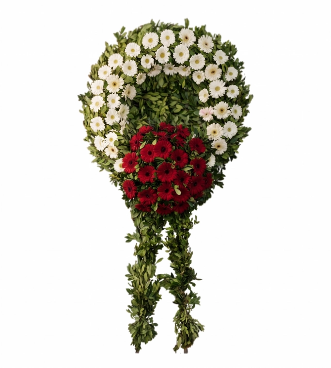 Beyaz Kırmızı Gerbera Cenaze Çelenk