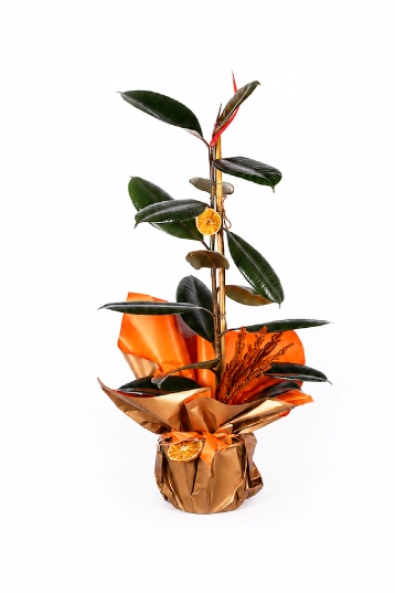 Copper Luxe