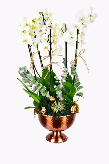 Copper Throne