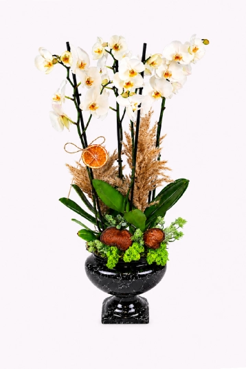 Elegance Harvest