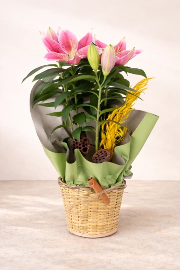 Elegant Flowering Lily