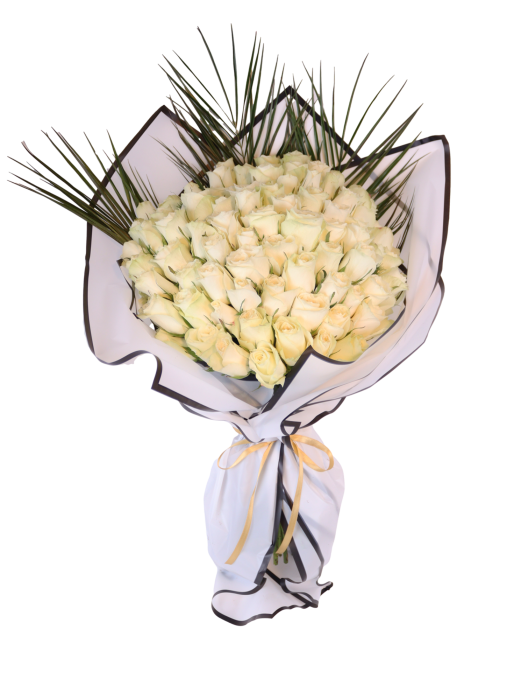 Ice Princess White Rose