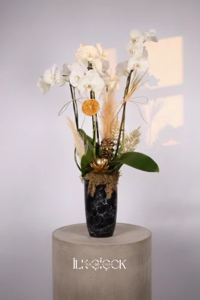 Luxe Edition – Noir Orchidée