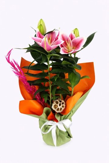 Maison Bloom Lily