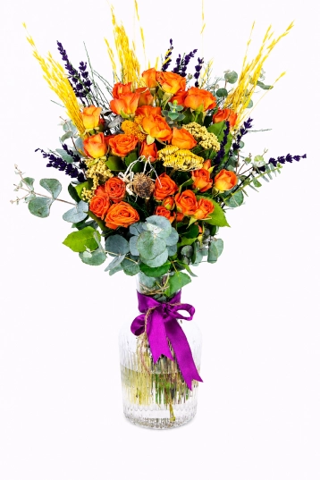 Orange Touch