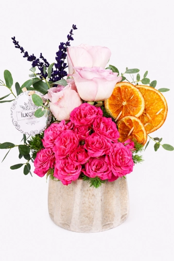 Provence Rose