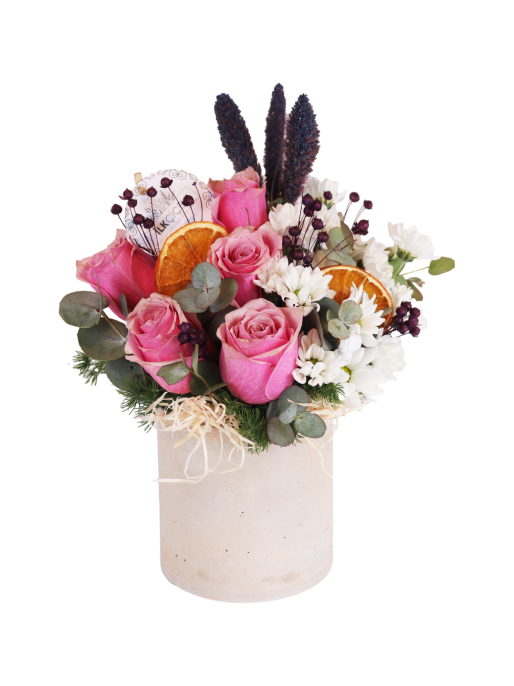 The Winter Rose Garden